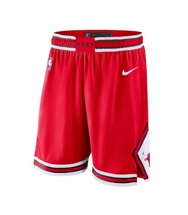 Chicago Bulls Short Icon Edition Swingman