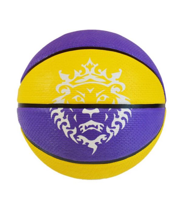 Lebron Playground 8P