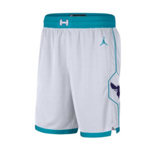 Jordan Charlotte Hornets Association Edition Swingman