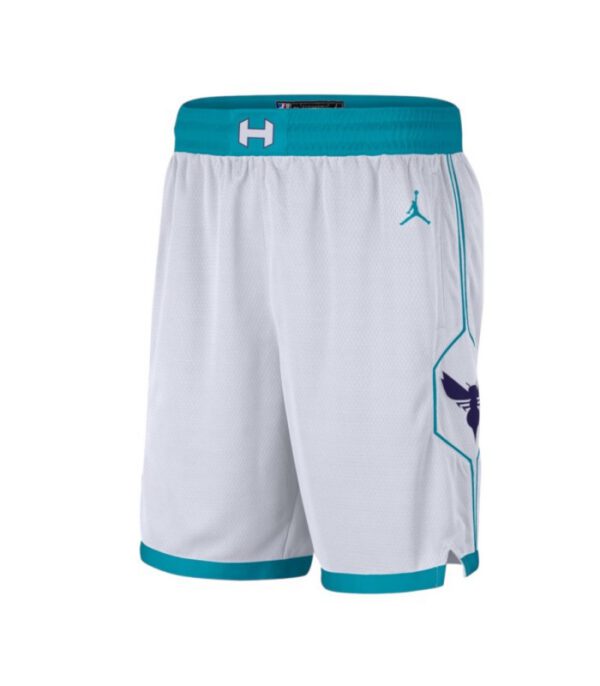 Jordan Charlotte Hornets Association Edition Swingman