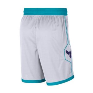 Jordan Charlotte Hornets Association Edition Swingman