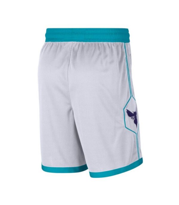 Jordan Charlotte Hornets Association Edition Swingman