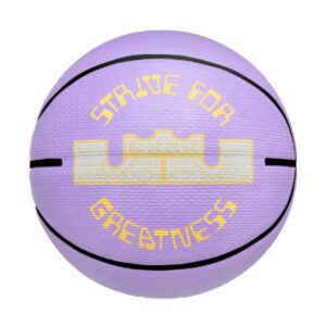 Lebron Playground 8P