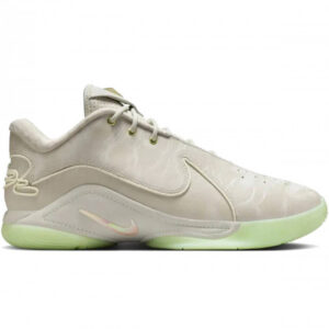 Lebron XXII "Dunkman"