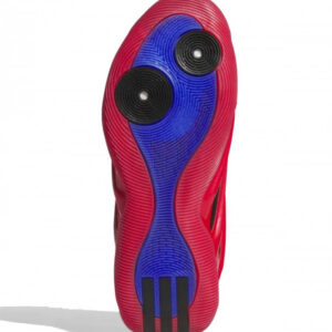 Harden Volume 9 “Pure Ruby”