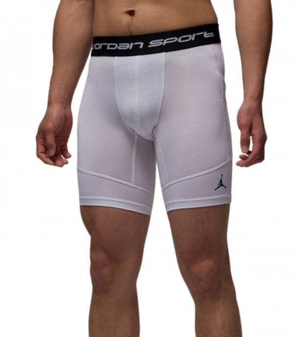Jordan Sport Dri-Fit Short