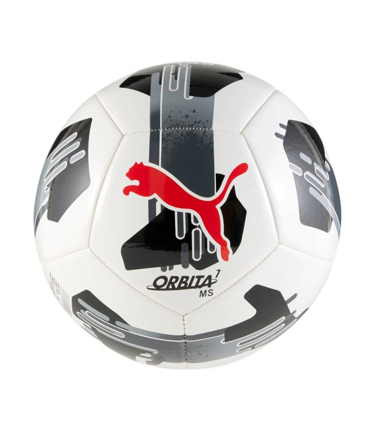 Orbita 7 MS