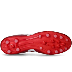Morelia II PRO AG