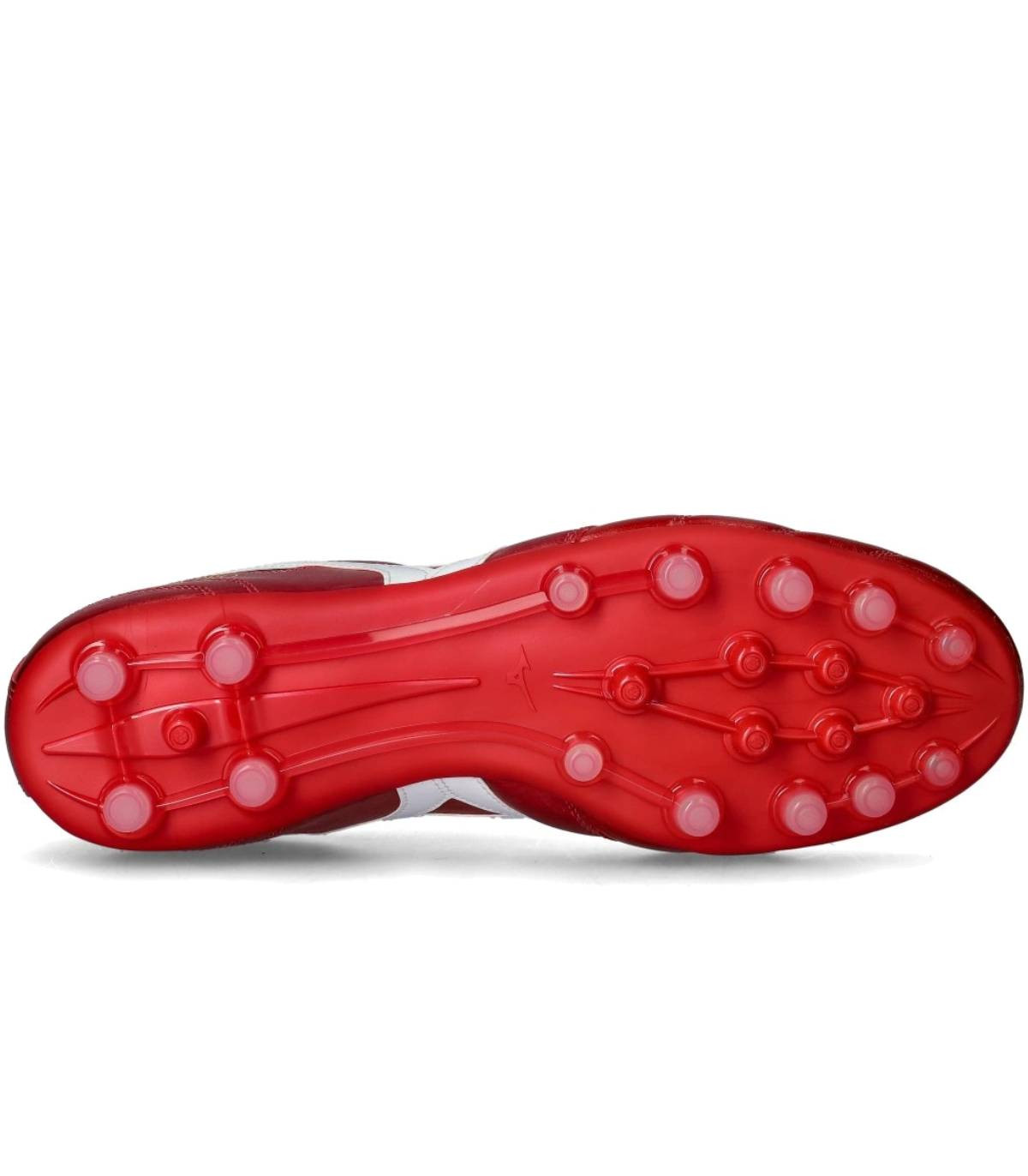 Morelia II PRO AG