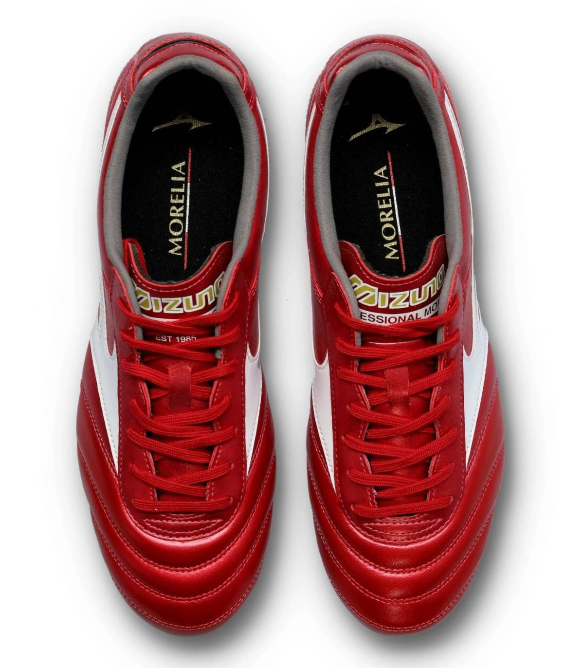Morelia II PRO AG